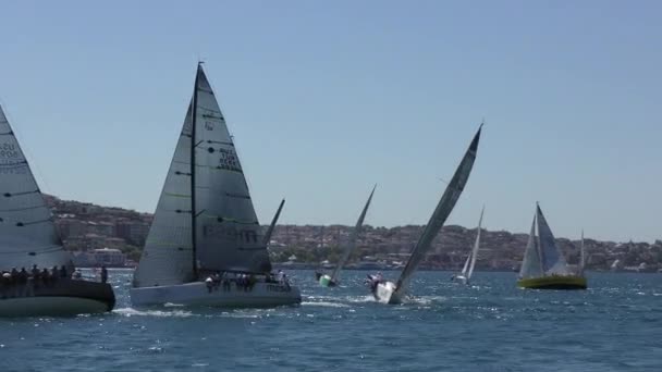 Europa Turquía Estambul Septiembre 2020 Regata Vela Largo Del Bósforo — Vídeo de stock