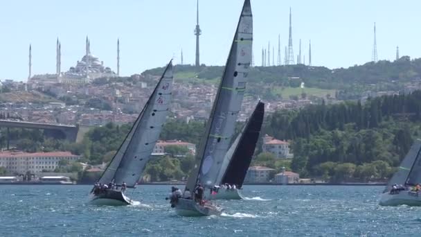Avrupa Türkiye Stanbul Eylül 2020 Boğaz Boyunca Yelkenli Yarışı Boğaz — Stok video