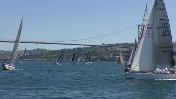 이스탄불 2020 보스포루스를 항해하는 레고타 보스포루스에서 요트타기 돛단배 — 비디오