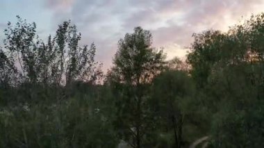 Hava görüntüsü. Desna nehrinin üzerinde güzel bir gün batımı. Nehir tarafından dokunulmamış doğa. Ormandaki nehir.