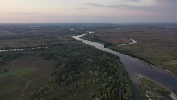 Vista aérea. Natureza intocada perto do rio Desna. Um rio entre a natureza intocada. Rio entre campos e florestas. Árvores junto ao rio. — Vídeo de Stock