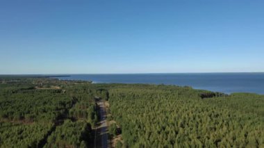 Hava görüntüsü. Ormanın arka planında orman gölü. Kiev Barajı, Dnipro Nehri. Ormanın ortasında asfalt yol.