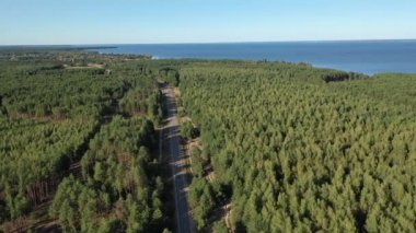 Hava görüntüsü. Ormanın arka planında orman gölü. Kiev Barajı, Dnipro Nehri. Ormanın ortasında asfalt yol.