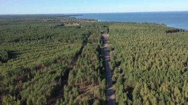 Hava görüntüsü. Ormanın arka planında orman gölü. Kiev Barajı, Dnipro Nehri. Ormanın ortasında asfalt yol.