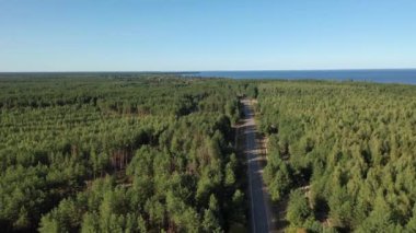 Hava görüntüsü. Ormanın arka planında orman gölü. Kiev Barajı, Dnipro Nehri. Ormanın ortasında asfalt yol.