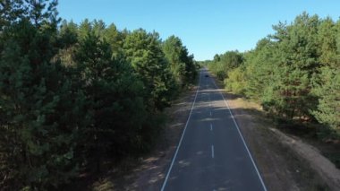 Hava görüntüsü. Ormanın arka planında orman gölü. Kiev Barajı, Dnipro Nehri. Ormanın ortasında asfalt yol.