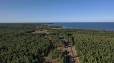 Hava görüntüsü. Ormanın arka planında orman gölü. Kiev Barajı, Dnipro Nehri. Ormanın ortasında asfalt yol.