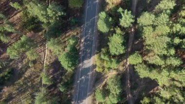 Hava görüntüsü. Ormanın arka planında orman gölü. Kiev Barajı, Dnipro Nehri. Ormanın ortasında asfalt yol.