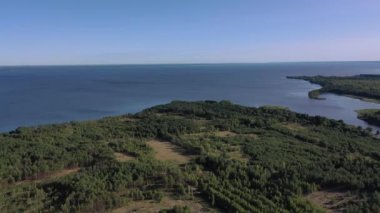 Hava görüntüsü. Ormanın arka planında orman gölü. Kiev Barajı, Dnipro Nehri. Ormanın ortasında asfalt yol.