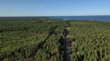 Hava görüntüsü. Ormanın arka planında orman gölü. Kiev Barajı, Dnipro Nehri. Ormanın ortasında asfalt yol.