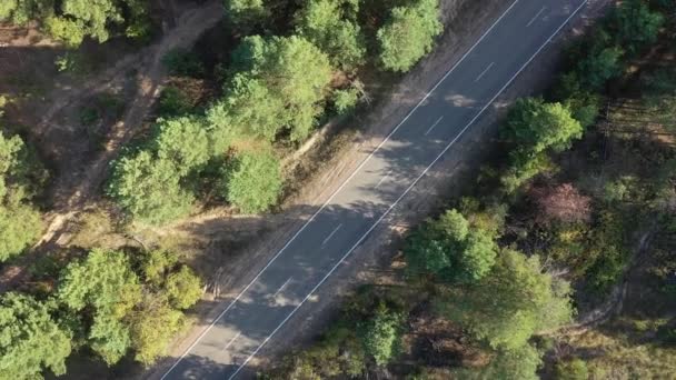 Vue Aérienne Lac Forestier Sur Fond Forêt Réservoir Kiev Rivière — Video