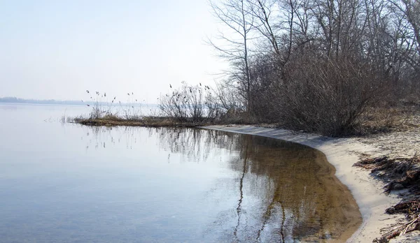 Ukrayna'da erken Bahar Dinyeper Nehri üzerinde kuru sazlık