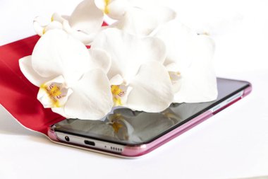 Beyaz orkide beyaz arka planda dokunmatik telefonda yatıyor