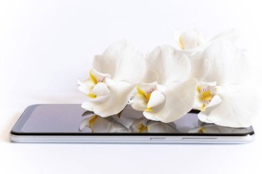 Beyaz orkide beyaz arka planda dokunmatik telefonda yatıyor