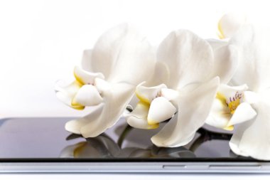 Beyaz orkide beyaz arka planda dokunmatik telefonda yatıyor