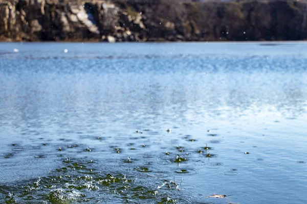 Salpicaduras Gotas Agua Superficie Del Lago Por Mañana Parque — Foto de Stock