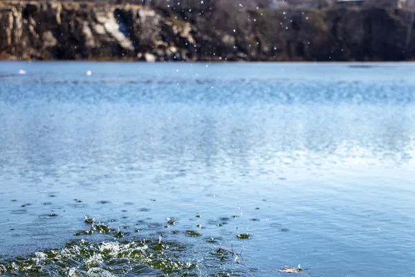 Salpicaduras Gotas Agua Superficie Del Lago Por Mañana Parque — Foto de Stock