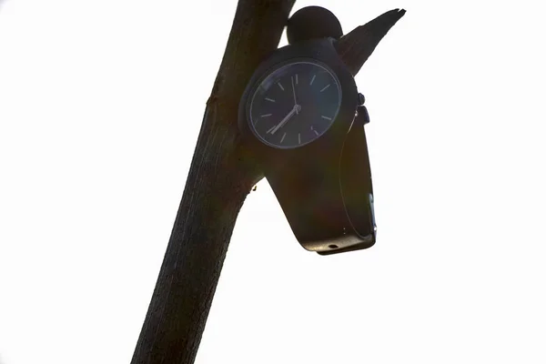 Relojes Silicona Negro Muñeca Cuelgan Una Rama Calle — Foto de Stock