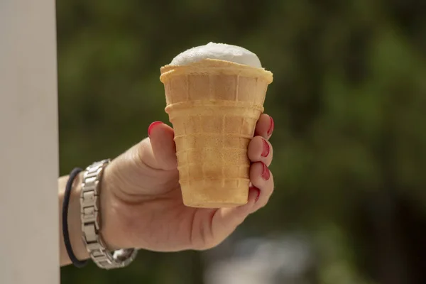 Девушка Держит Мороженое Вафельном Автомате Лодке Парке Летом — стоковое фото