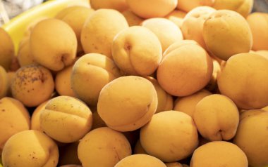 Sıcak bir yaz gününde dışarıda bir kapta kayısı hasadı