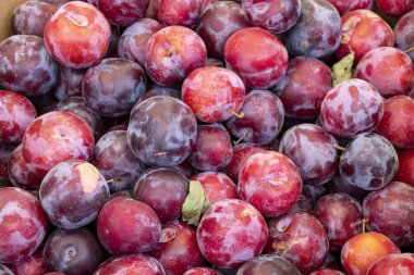 Erik arka plan. Kırmızı taze olgun erik piyasada bir kutu yerleştirilir. Erik closeup