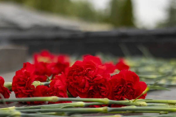 Rode Bloemen Anjers Granieten Winkel Buurt Van Het Monument — Stockfoto