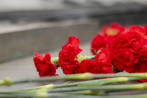Oeillets Fleurs Rouges Sur Magasin Granit Près Monument — Photo