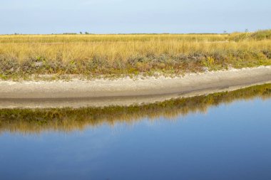 Ukrayna şehir Berdyansk haliç yaz aylarında sabah erken çim çevrili
