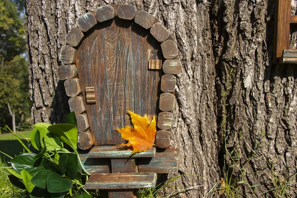 Petite Maison Bois Fabuleuse Avec Une Porte Attachée Arbre Dans — Photo