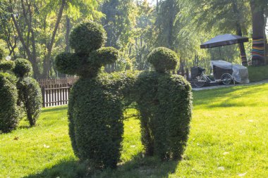 Dinyeper şehirlerinde Ukrayna'da bir parkta bir çim üzerinde bir köpek şeklinde oyulmuş parklarda bir çalı