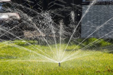 Su püskürtücü Parktaki yeşil çimenleri sula