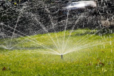 Su püskürtücü Parktaki yeşil çimenleri sula