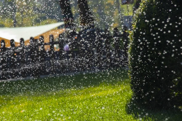公園の緑の芝生に水を撒く — ストック写真