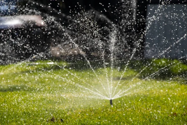 Water Sprinkler Water Green Lawn Park — Stock Photo, Image