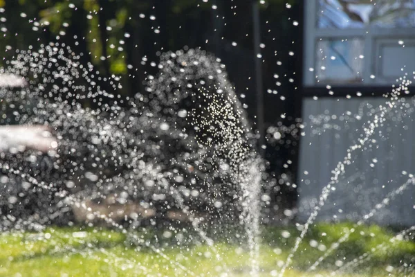 Water Sprinkler Water Green Lawn Park — Stock Photo, Image