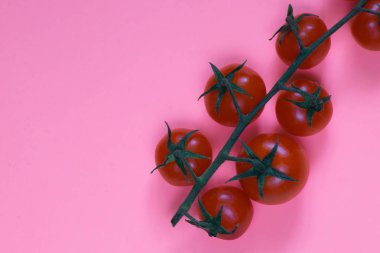 Pembe bir fondaki kiraz domatesleri