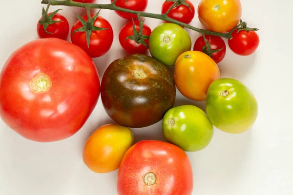 異なる種類のトマトは白い隔離された背景にあります — ストック写真