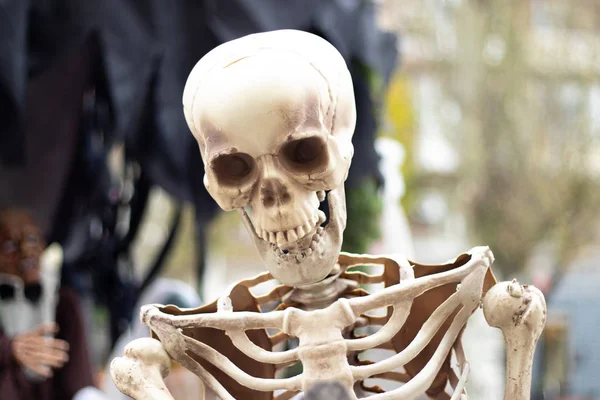 Maqueta Esqueleto Humano Pie Aire Libre Cerca —  Fotos de Stock