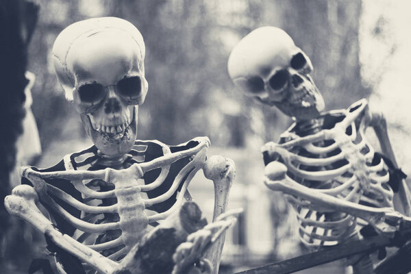 mockup of a human skeleton standing outdoors close up