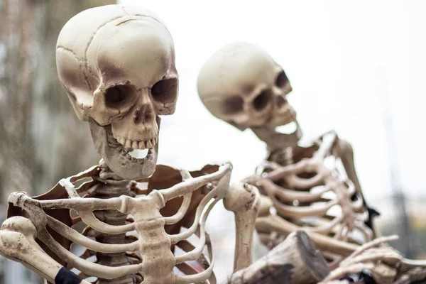 Makieta Ludzkiego Szkieletu Stojącego Zewnątrz Bliska — Zdjęcie stockowe