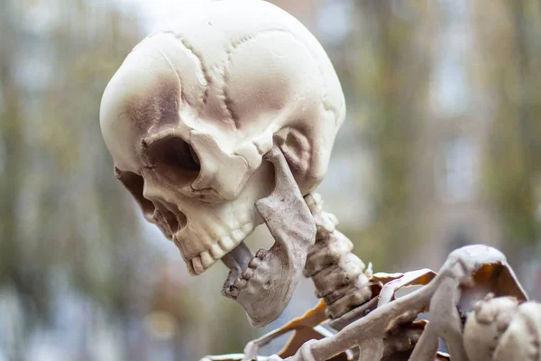 Mockup Ett Mänskligt Skelett Stående Utomhus Närbild — Stockfoto