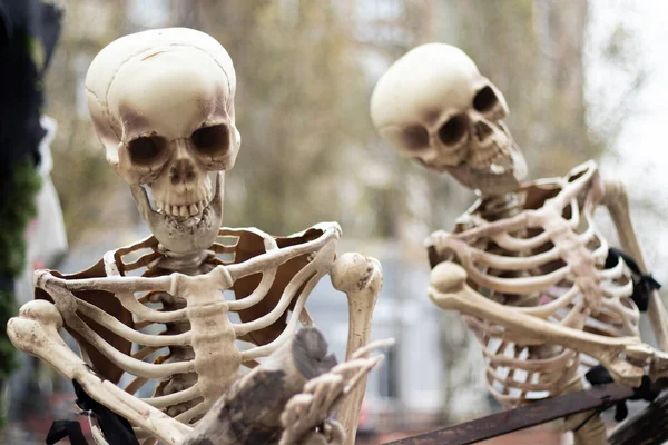 Attrappe Eines Freien Stehenden Menschlichen Skeletts Aus Nächster Nähe — Stockfoto