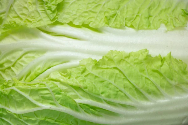 Napa cabbage or Chinese cabbage half, isolated green background