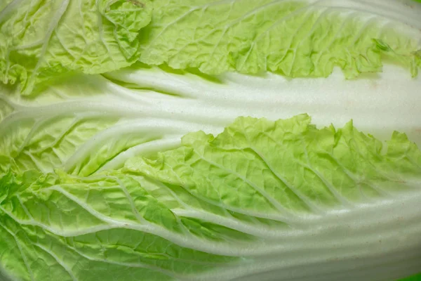 Napa cabbage or Chinese cabbage half, isolated green background