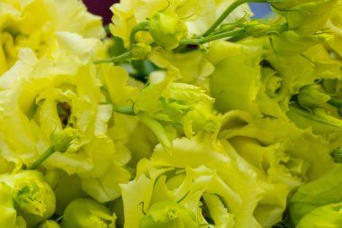 Masanın üzerinde bir buket lisianthus çiçeği yatıyor.