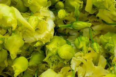 Masanın üzerinde bir buket lisianthus çiçeği yatıyor.