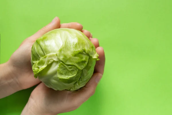 green cabbage on an isolated color background
