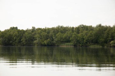 Ukrayna 'daki ormandaki Dinyeper Nehri