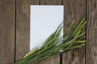 Arazili yeşil buğday dalları ahşap bir masanın üzerinde ve beyaz boş bir yaprak ve yazı için bir yer var.