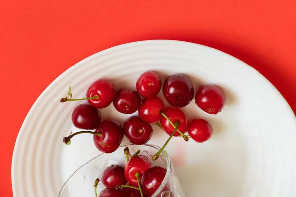 Kirsche Auf Weißem Teller Auf Rotem Hintergrund — Stockfoto